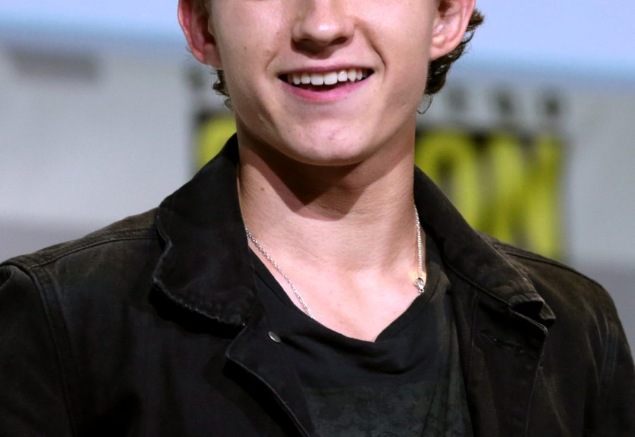 Tom Holland (representative image)