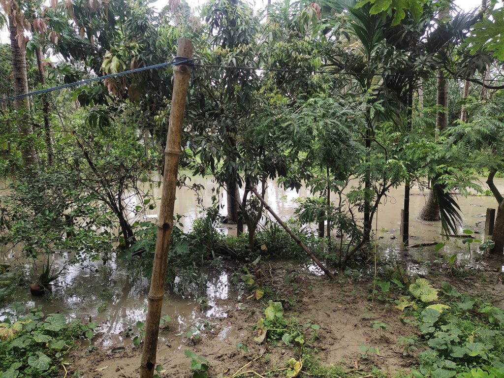 IMD issues flash flood, heavy rain alerts across 19 states