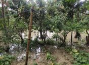 IMD issues flash flood, heavy rain alerts across 19 states