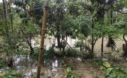 IMD issues flash flood, heavy rain alerts across 19 states