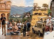 Tanzania Safari Packages From India: Because Some Trips You Remember For the Rest of Your Life