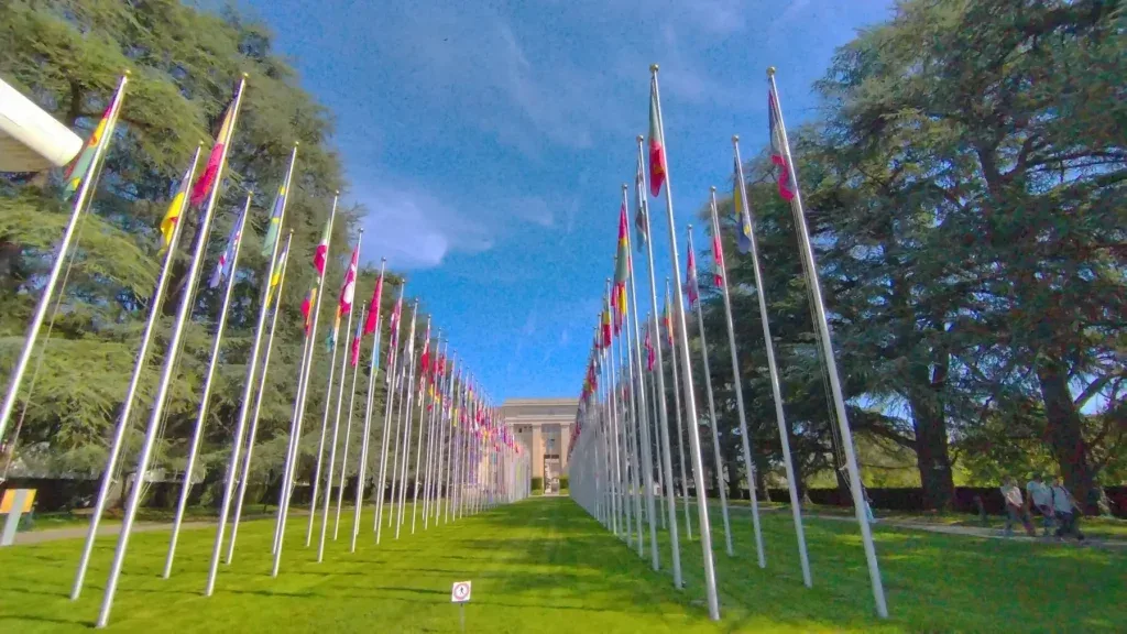 UN statement on mass detentions in Delhi: Full details